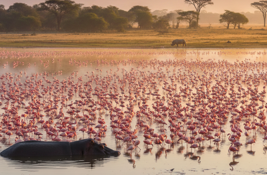 Lake Nakuru with Kenya Safari Trip